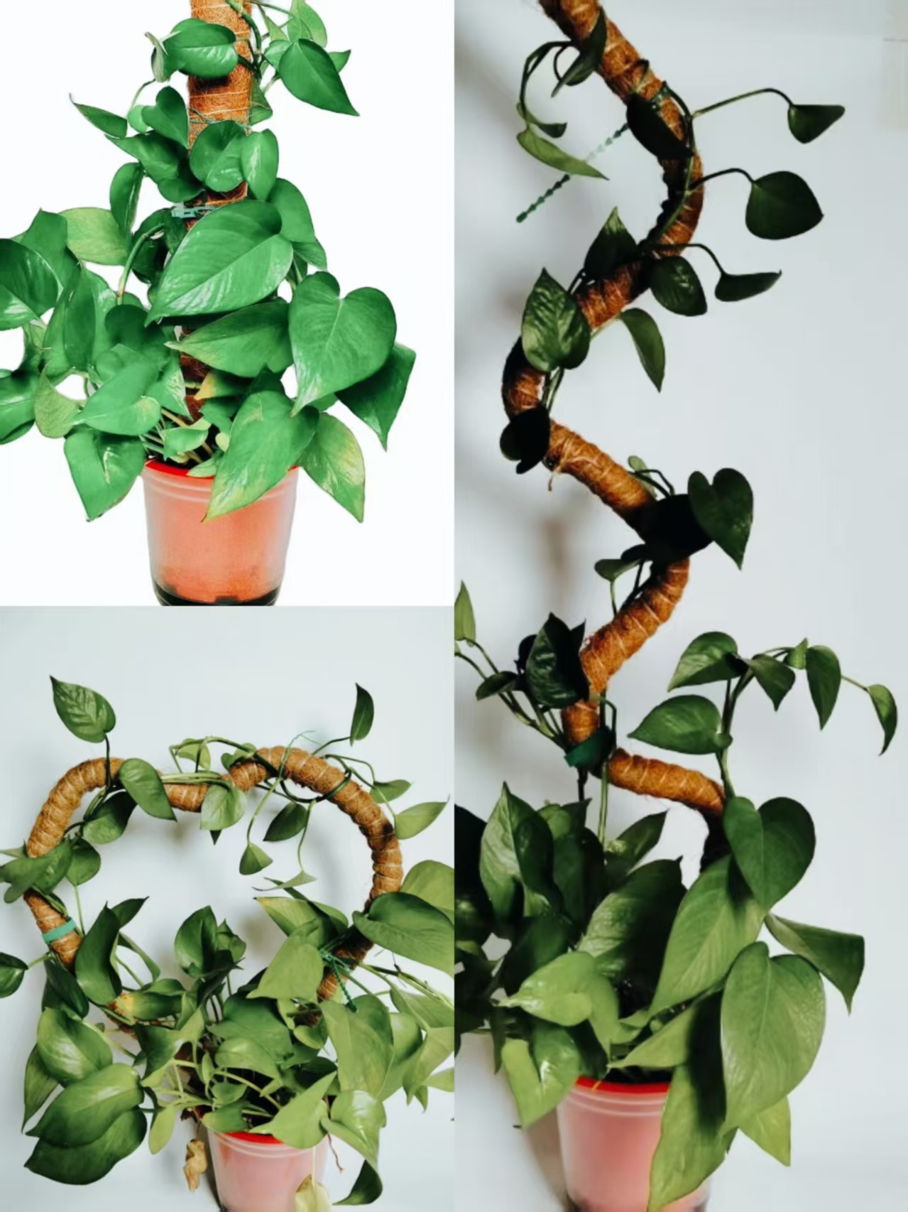 Горшки садовые для растений с мхом 30-105 см