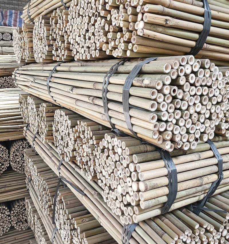 Bamboo Garden Stake /Bamboo Scaffolding Pole