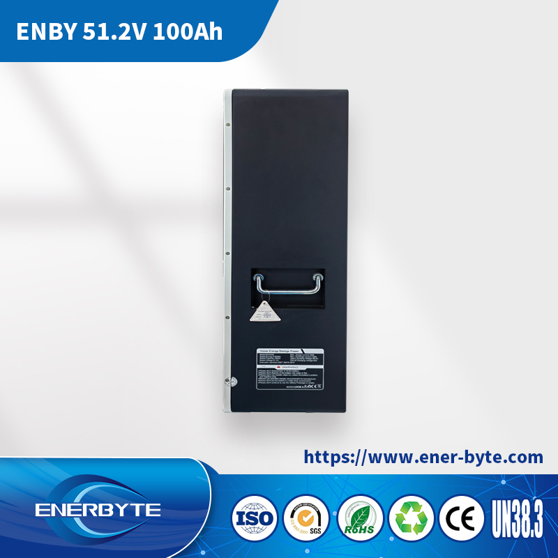 Литий-ионная система хранения энергии 51.2V 100Ah для дома и солнечных панелей
