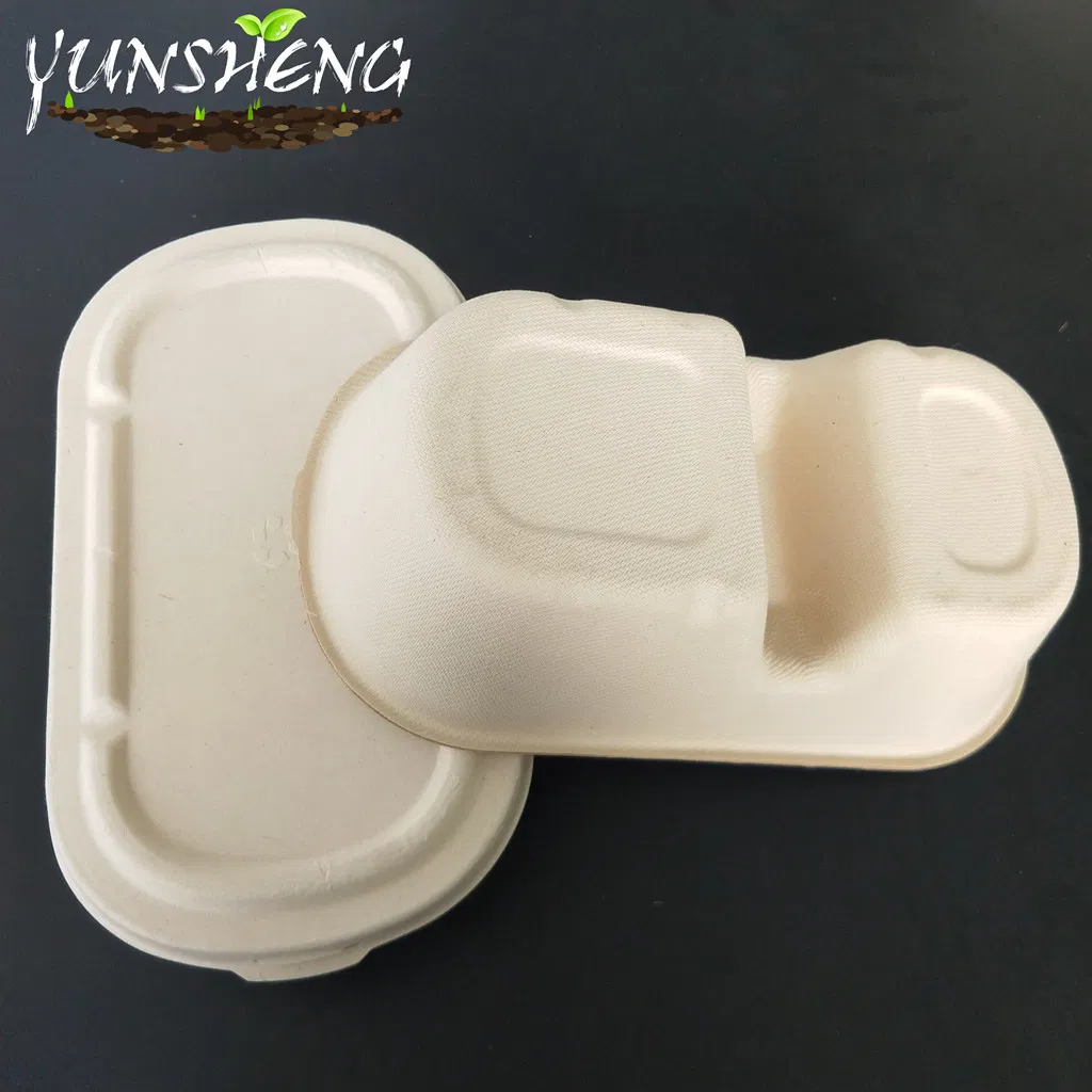 Rectangle White Bamboo Pulp Paper Customzied Compostable Box with Lid
