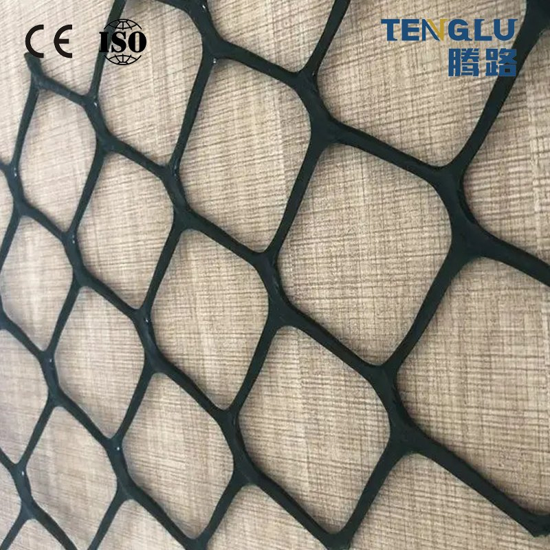 CE Certified Modern Industrial Design Composite Geonet HDPE Plastic for Railway Drainage Earthwork & Garden Applications