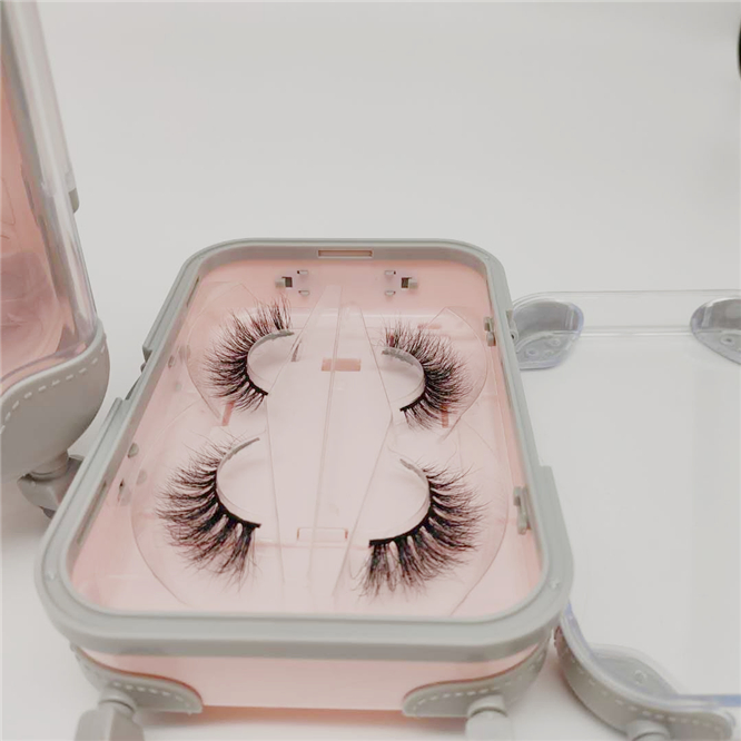 Private Label Two Pairs Set Cute Mini Luggage Suitcase 3D Mink Eyelash Packaging Case 25mm Eyelashes Box