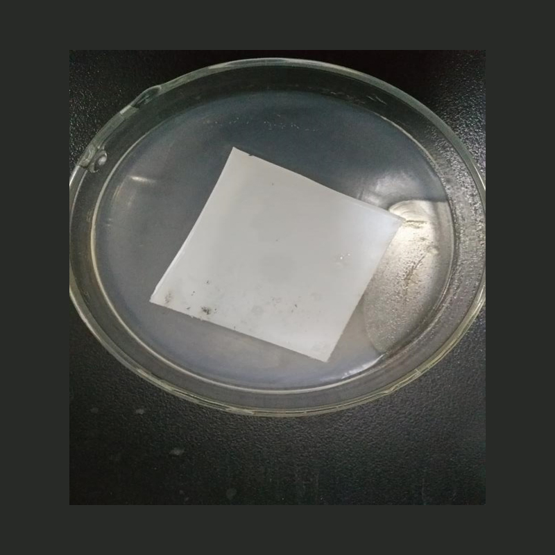 ODM OEM Washing Machine Door Rubber Gasket with Manufacturer Molds Design