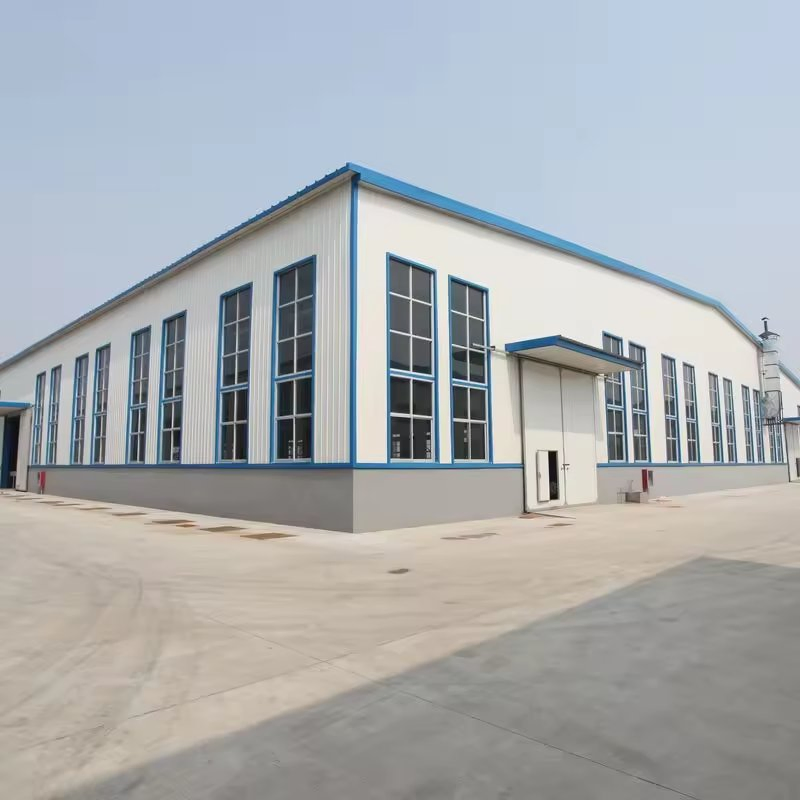 Luxury Prefabricated Steel Structure Metal Construction Industrial Building for Warehouse