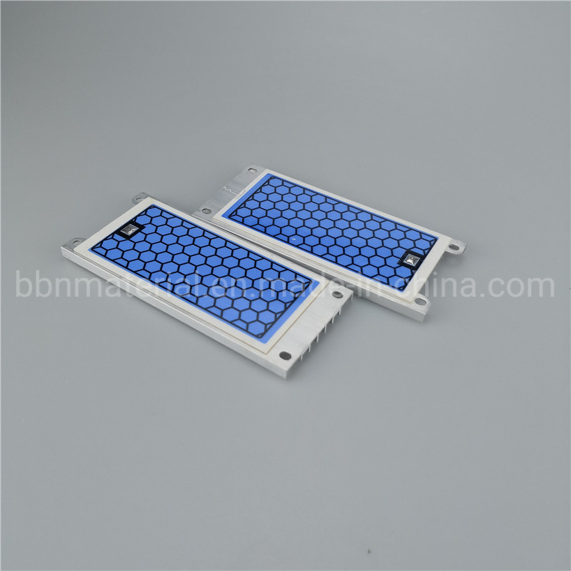 110V or 220V Integrated 10g/H Stainless Steel Ozone Ceramic Plate Ozone Generator