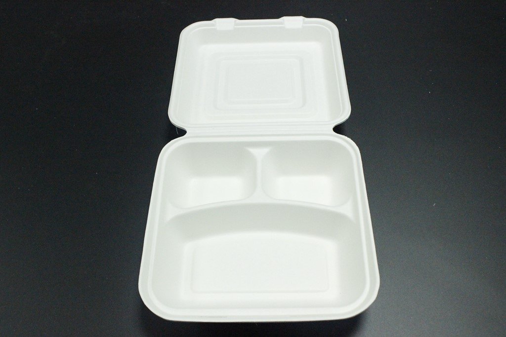 Chinese Factory Food Grade Sugarcane Pulp Box for Lunch and Snack Fried Noodles