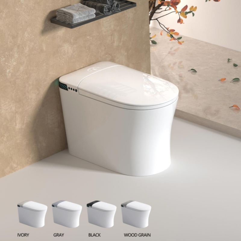 Very Simple, Hot Selling, Fashionable Ceramic Floor Standing Intelligent Toilet