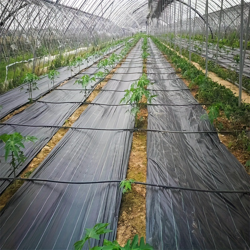 Premium Quality SGS China Supplier UV Treated Agriculture Garden Landscape Weed Barrier PP Woven Geotextile Fabric Anti Aging Weed Mat Weed Control Ground Cover