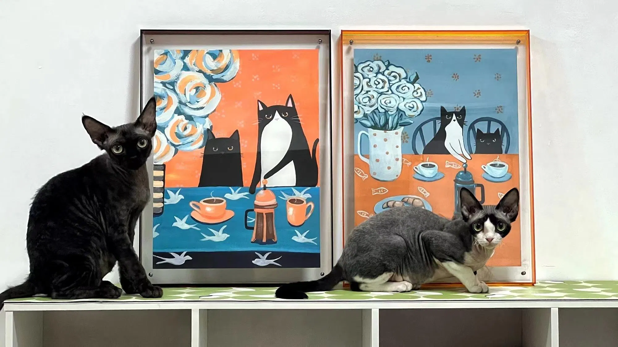 New Products Launched Shatterproof Impact-Resistant Double-Sided Thick Acrylic Photo Frame for Cafe Counter Display