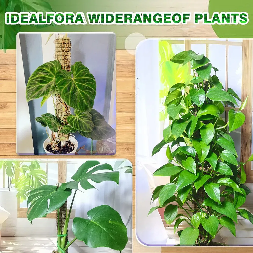 Breathable Sphagnum Moss Pole for Monstera Adansonii & Tropical Climbers