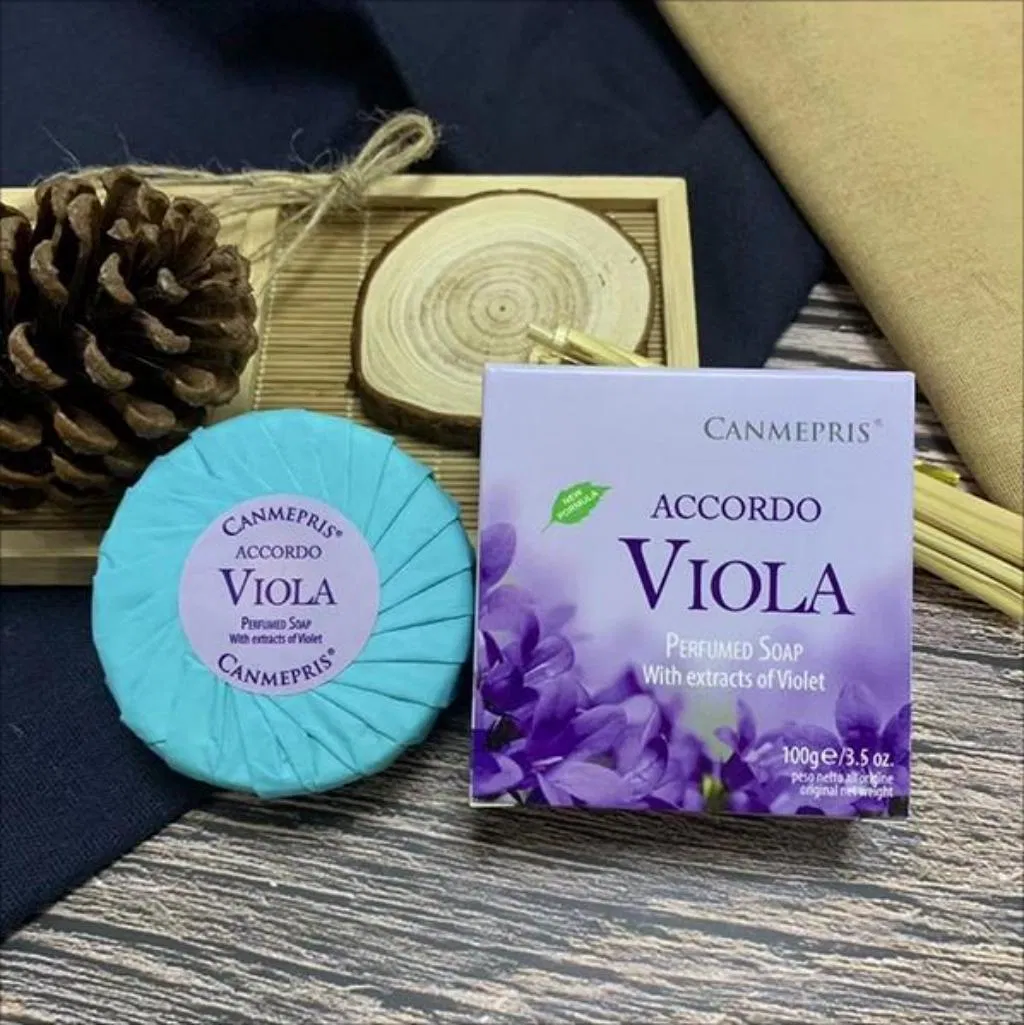 High-Quality Soap 100g to Clean The Body Whitening Soap for Deep Cleaning
