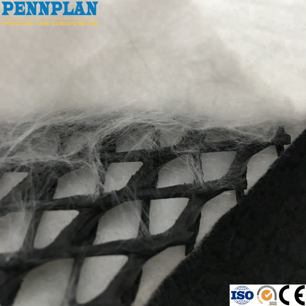 Geocomposite Filter Layer Landfill Foundation HDPE Drainage Net