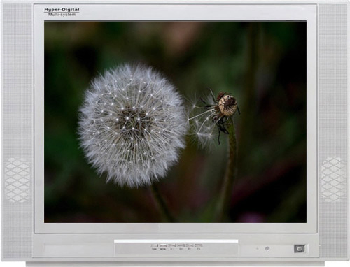 ЭЛТ-телевизор 34 дюйма Greatfly GFL05