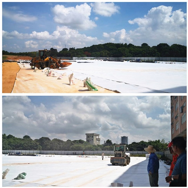 3D Composite Geosynthetics Net Drainage Network for Drainage Layer Geonet Geomat