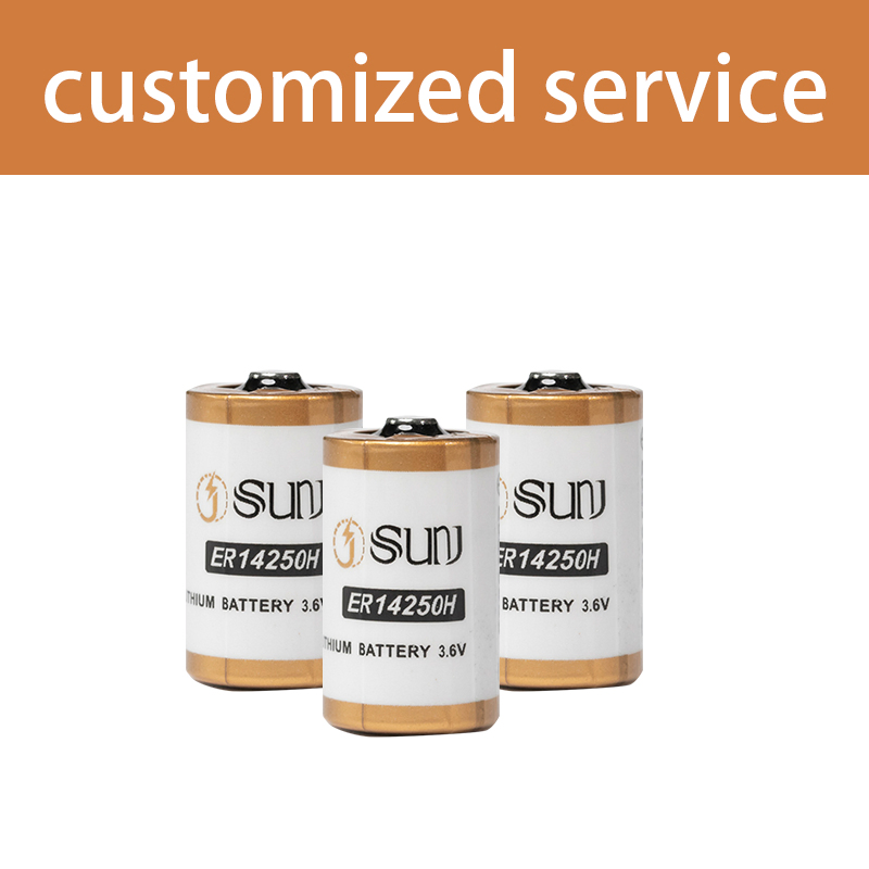 Factory Direct Supply 3.6V 1200mAh Er14250h Lithium Primary Battery Cell