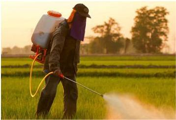 Factory Flexible High Pressure PVC Spray Hose Pipe for Irrigation Chemical Airless Paint