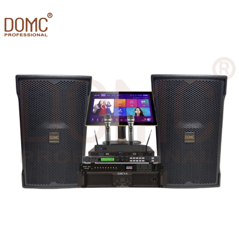 Premium 10-Inch Stage Speaker with High Power Output