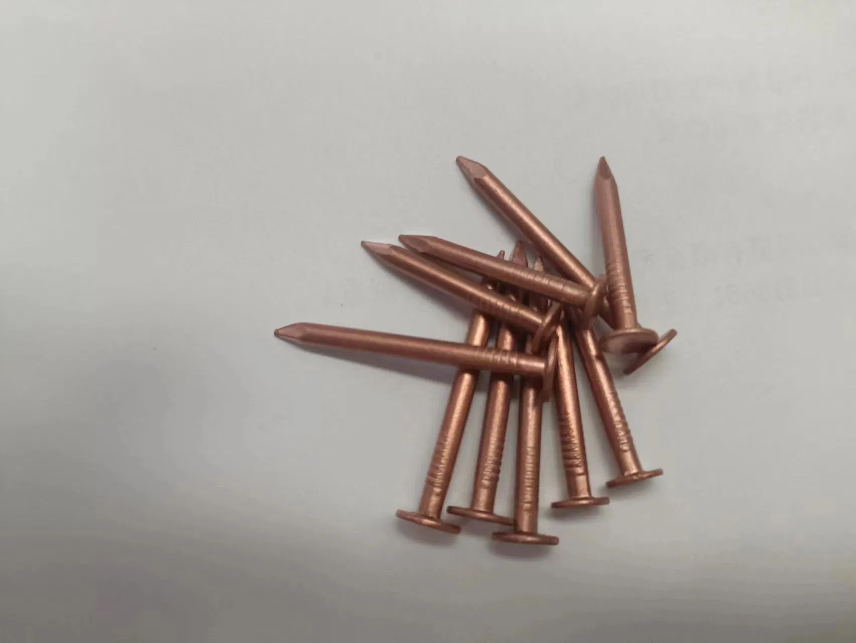 Best Selling Common Nails with 3/4 -5 Inch 99.99% Copper Nails