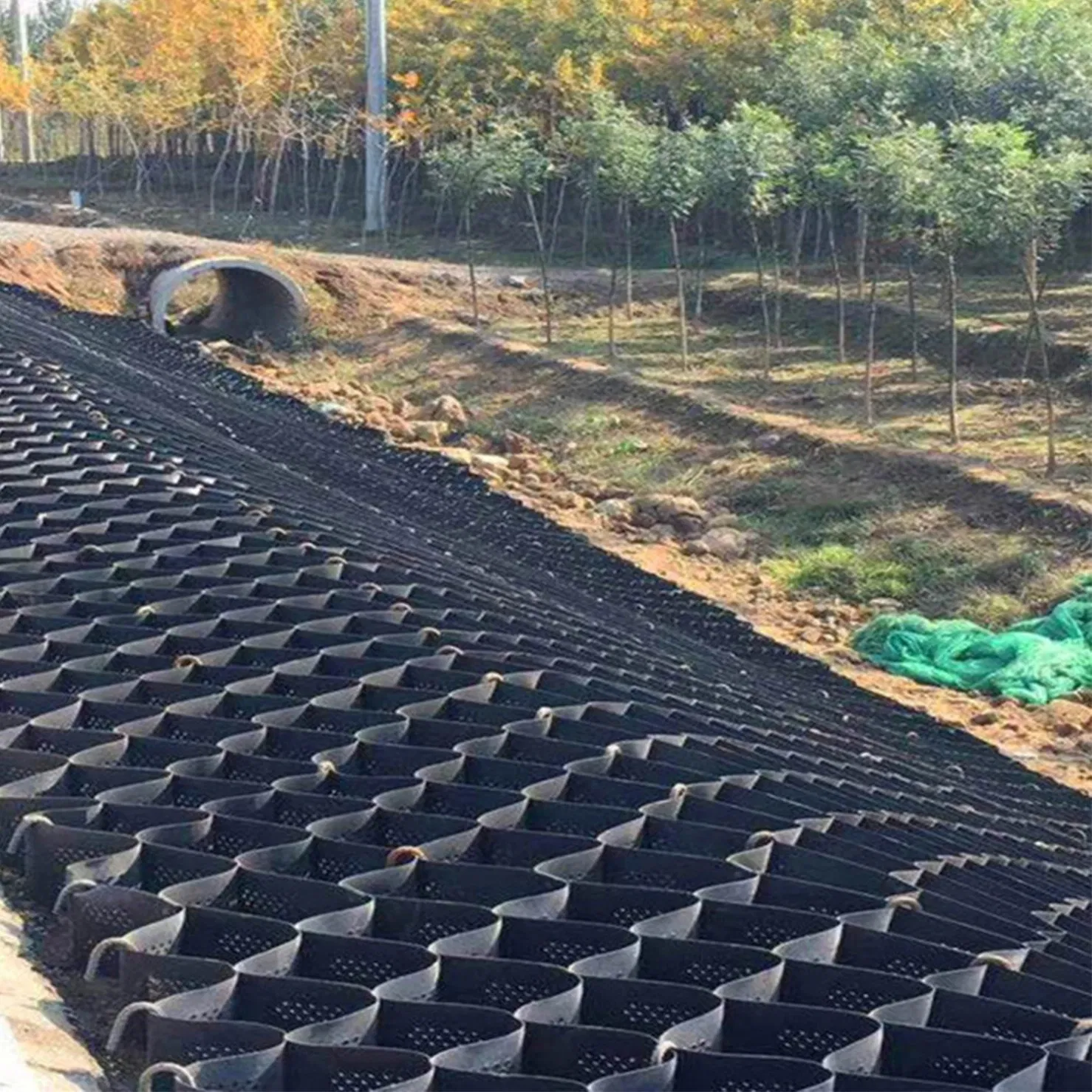 HDPE/Gravel Grid/Material/System/Driveway/Textured Geocell for High Quality Road Reinforcement Grass Net Paving