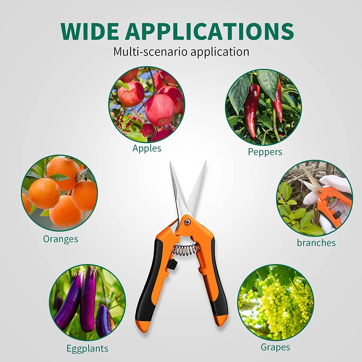 Hydroponic Straight Blade Trimming Pruning Shears Scissors Hydroponic Garden Orange Handle