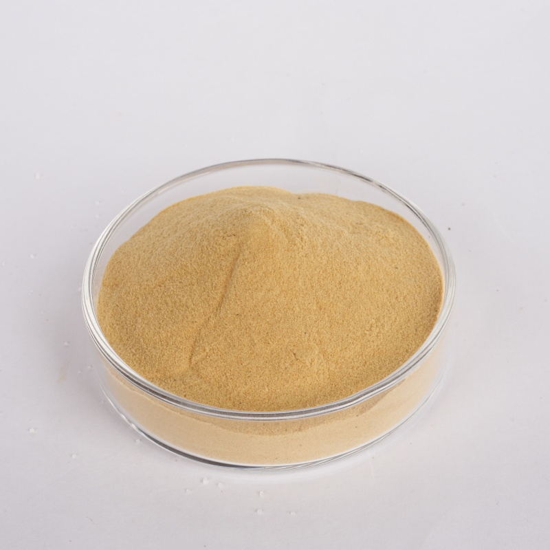 Gr-95 Light Yellow Powder: Excellent Fluidity Amino Acid Gypsum Retarder