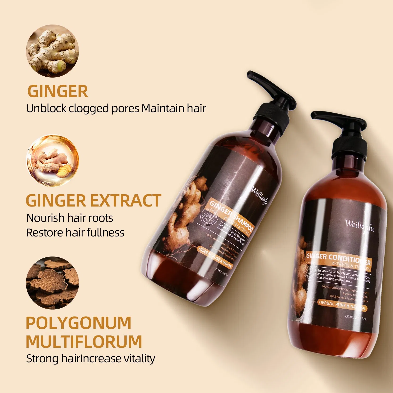 Herbal Ginger Hair Care Shampoo and Conditioner Set Hair Anti-Loss Prevention Hair Growth Strengthens Hair Roots Shampoo