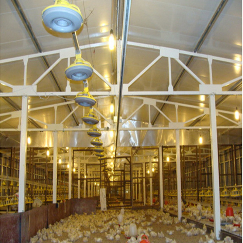 Prefabricated Steel Frame Structure Prefab Chicken House in Poultry Farms