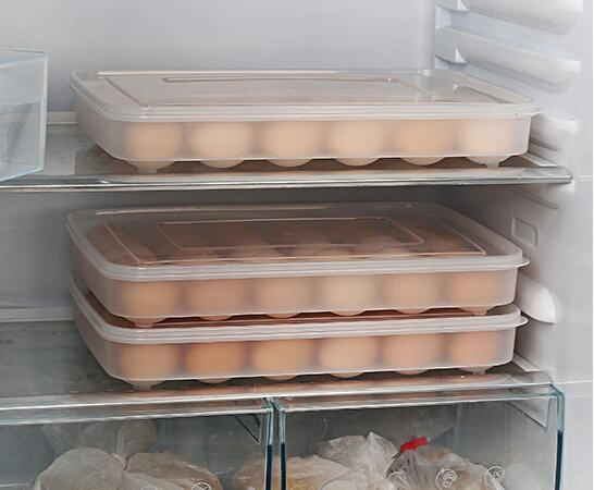 Wholesale Strong Clear PP Plastic Storage Egg Box for 30 Eggs