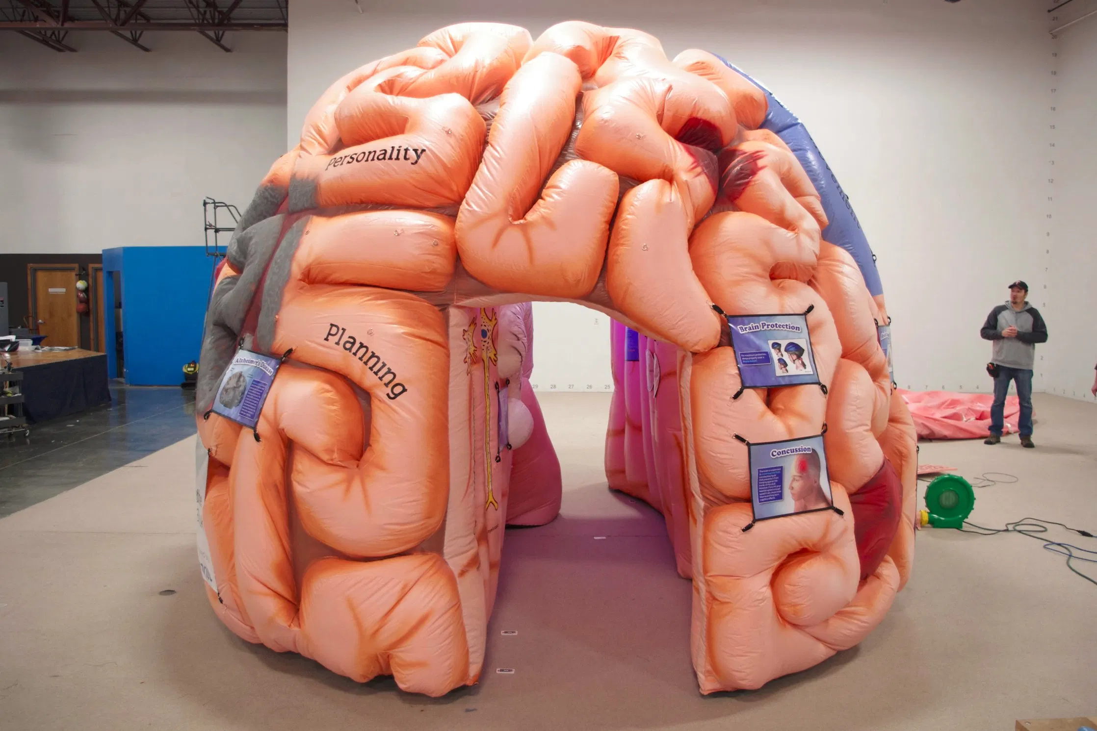 2023 New Inflatable Advertisng Giant Brian Tent for Sale