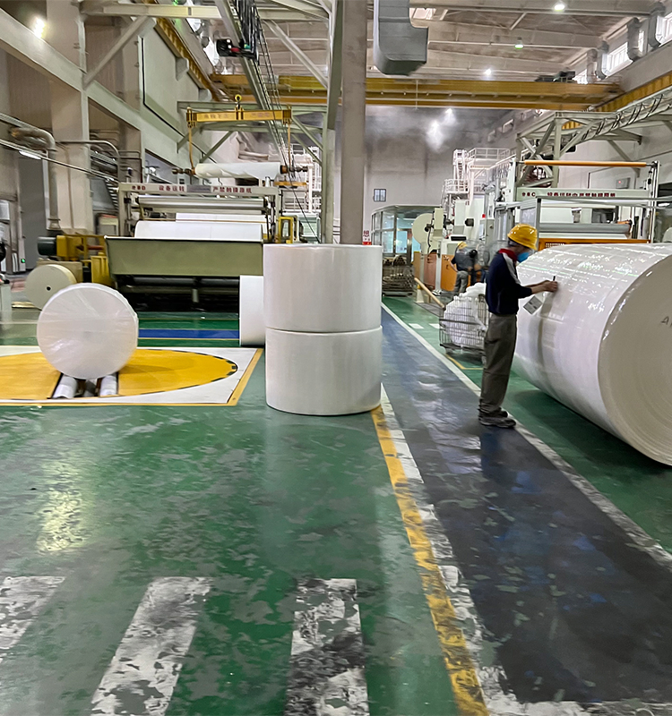 Raw Material for Facial Napkin Tissue Jumbo Toll Paper From Manufacturer