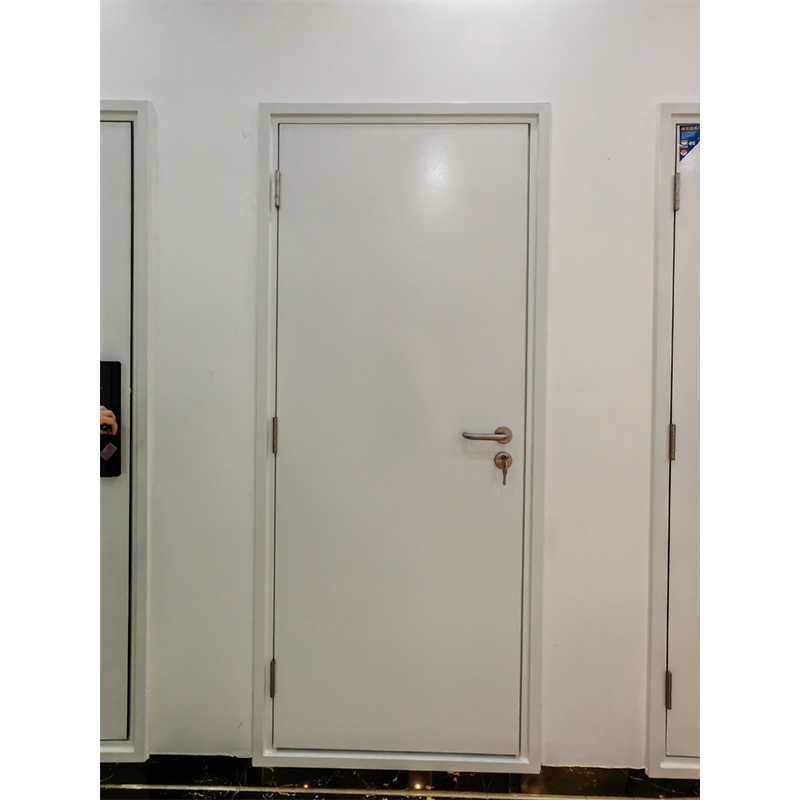 Wholesale Latest Insulation Modern Design Unequal Steel Fire Door