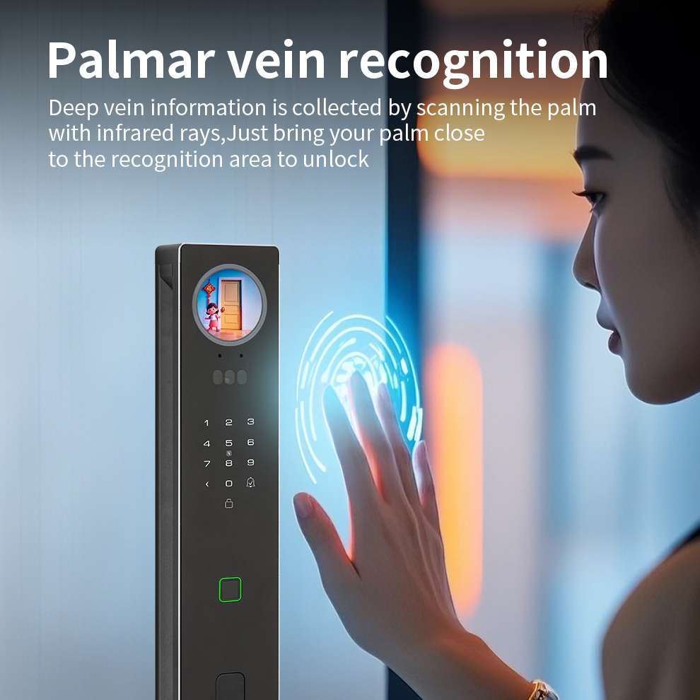 Smart Lock with Dual Color Screens for Mobile Access.