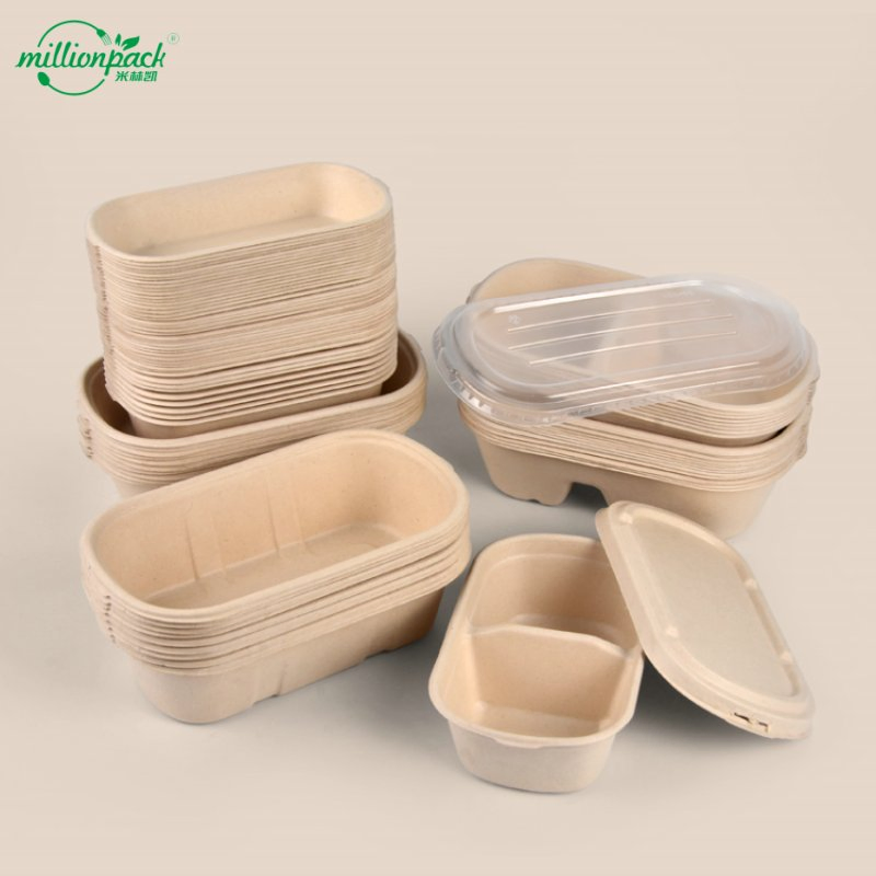 Biodegradable 9X9 Inch Bagasse Container for School Lunch Home Use