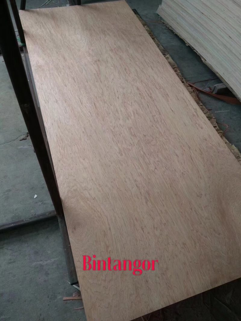 2.7mm 3.0mm Sapele Okoume Bintangor Plain Plywood Door Skin