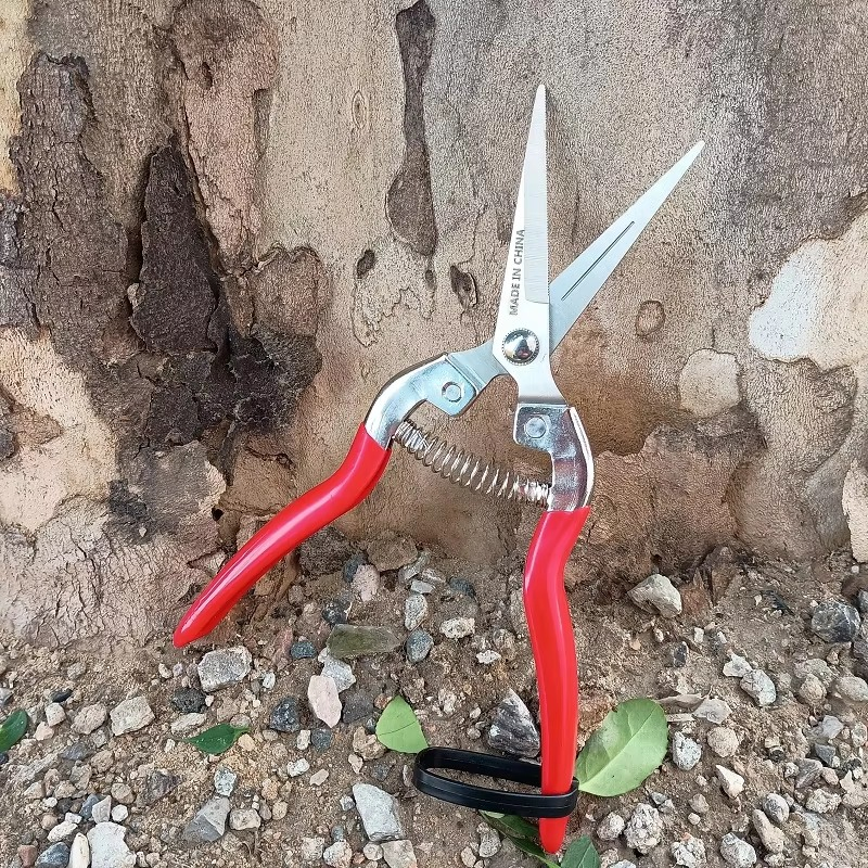 Секатор садовый обходной SK5 с мягкой рукояткой