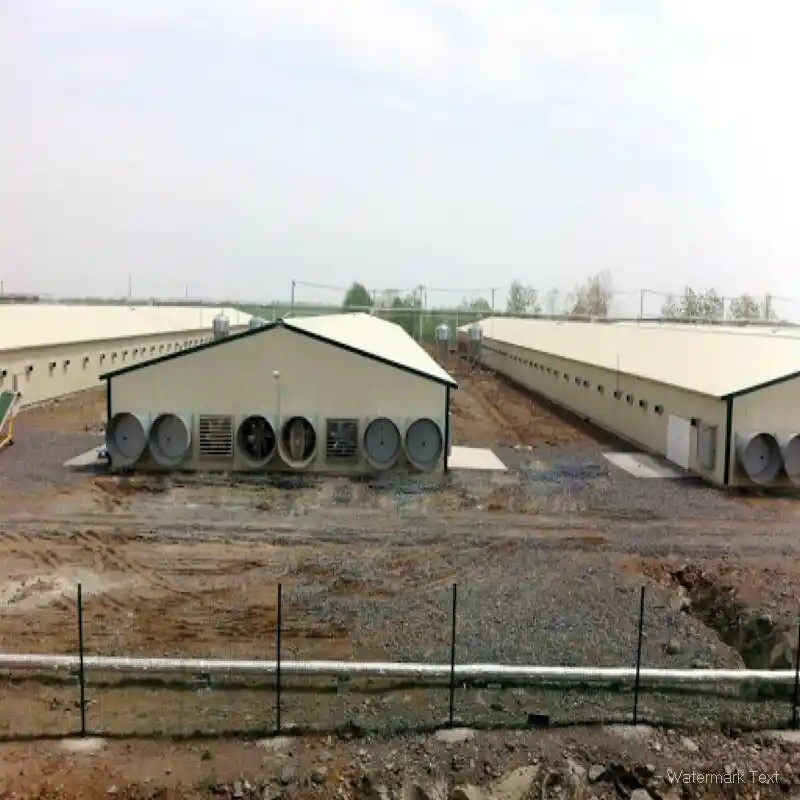Low Cost Quick Build Corrosion Resistant Steel Structure Poultry Raising Chicken House