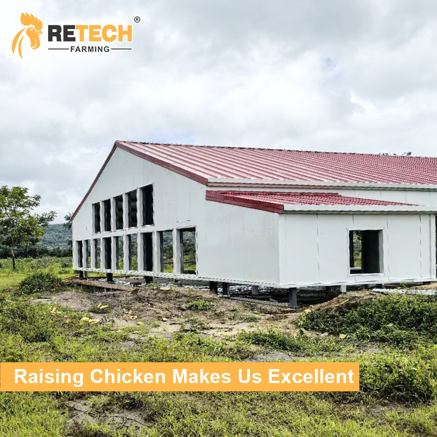 Hot Sale High Quality Prefab Steel Structure Chicken House for Poultry Farming