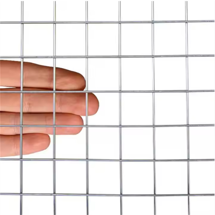 Fencing Steel Iron Wire Mesh for Farm Fencing Poultry Sheep Chicken Netting