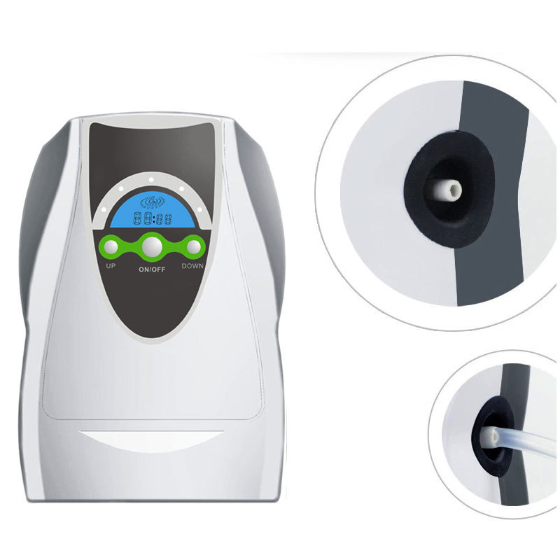 Portabe Remote Control 500mg/H Air Water Purifier Ozone Generator for Fruit and Vegetables