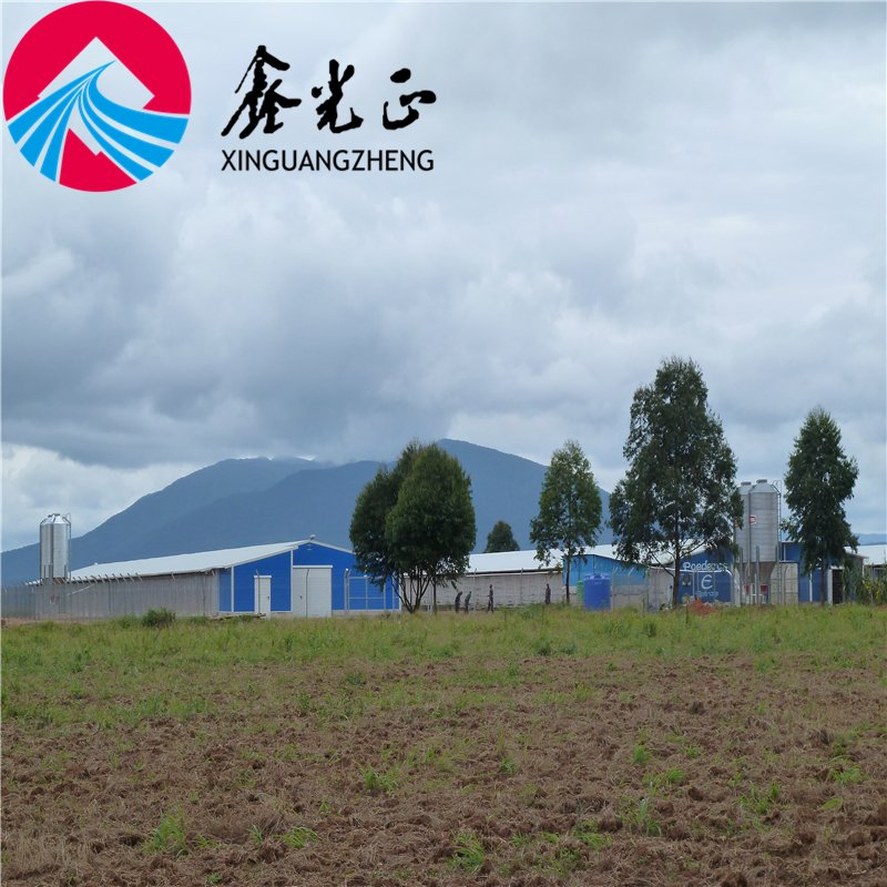 Ultimate Easy Assembly Steel Chicken Coop for Poultry Farming