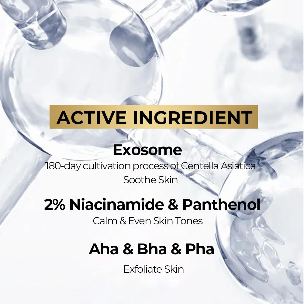 Herbal Moisturizer Exosome Eye Cream Anti-Aging Anti-Wrinkle Eye Bags Dark Circles Removal