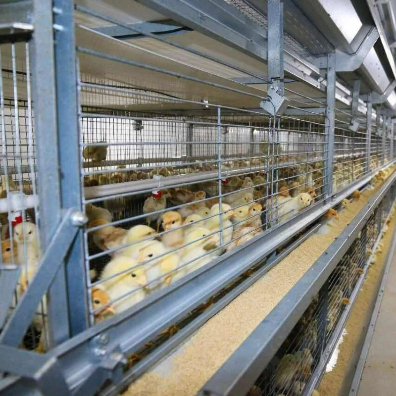 Large Span Construction Steel Building (XGZ-SSB061)