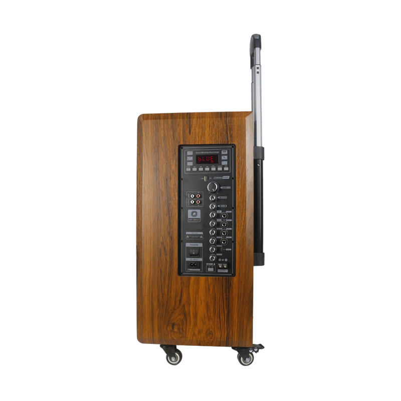 12inch Bt Speaker Audio Sets with Charger Professional Audio Wonden Speaker Box