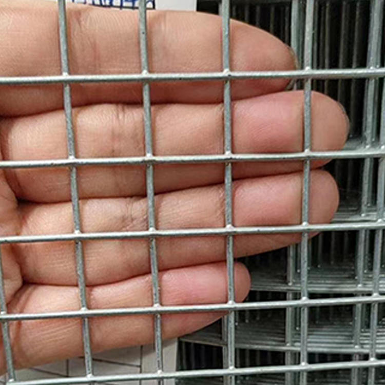 Stainless Steel Hot Dipped Electro Galvanized PVC Coated Welded Wire Mesh