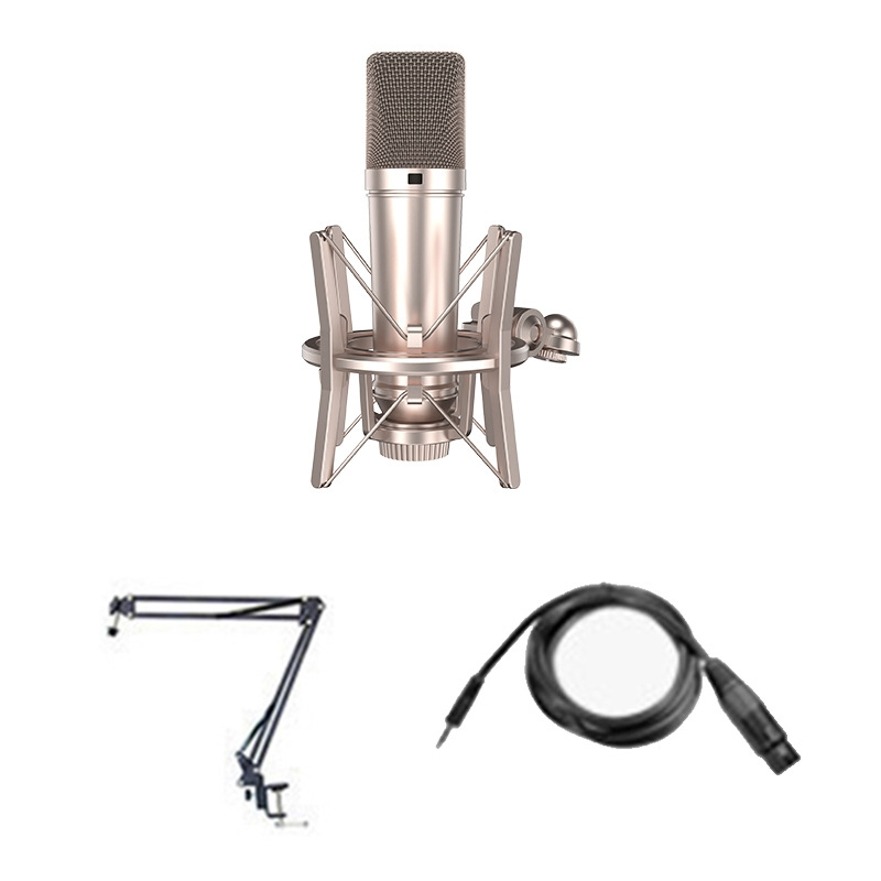 U87 Wired Karaoke Microphone with Enhanced Noise Cancellation