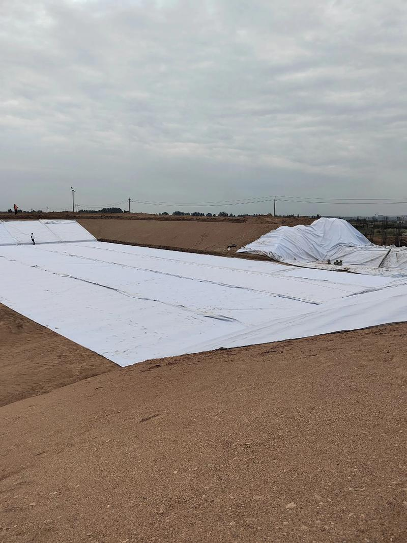 Jinghe Waterstop Belt HDPE Geomembrane for Transportation Projects Hydraulic Projects Geotechnical Projects Environmental Projects Customized