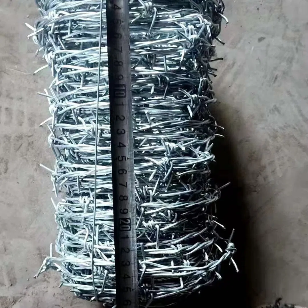 Bwg 14× 14 250m/Roll Double Twist Galvanized Barbed Wire for Agriculture Anti-Climb with High Tension for Grass Boundaries and Railways