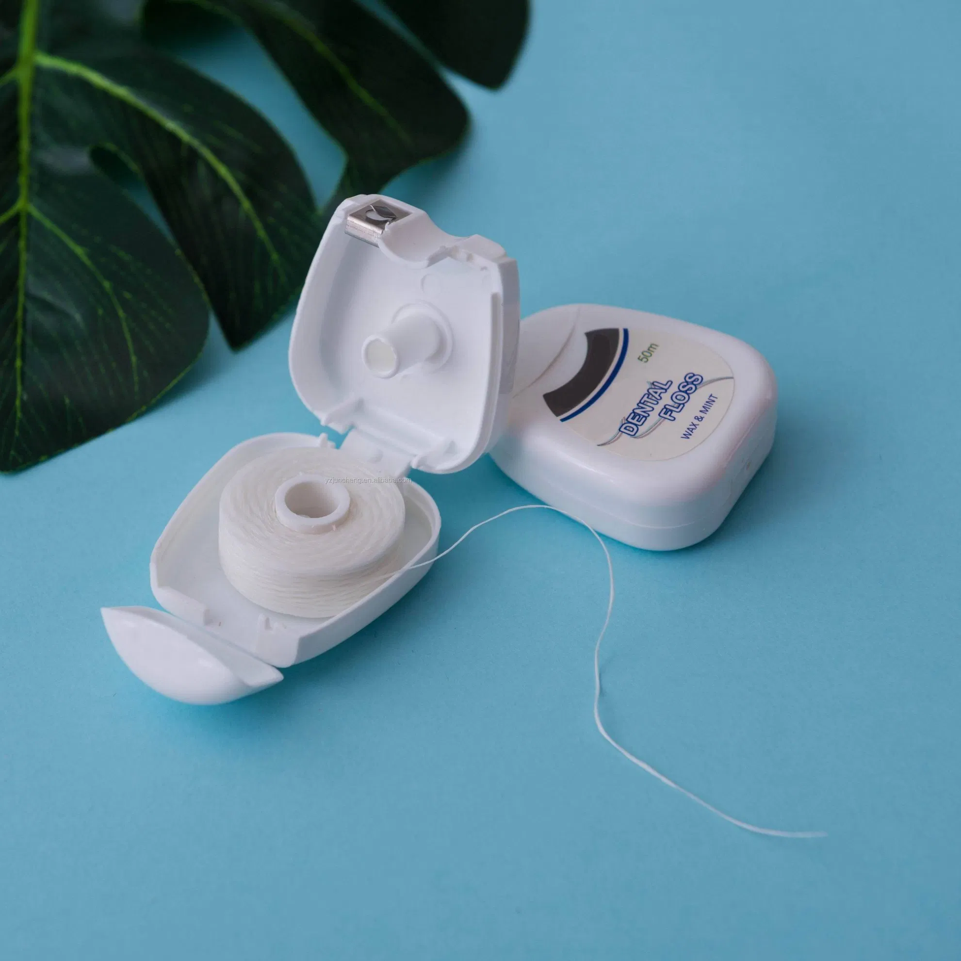 Trendy and Functional Goods Plastic Box Dental Floss