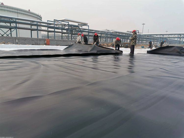 Strong 2 0mm HDPE Geomembrane Roll for Large Scale Liners