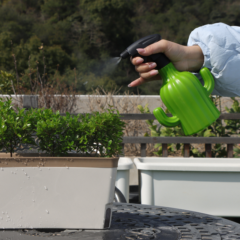 Stylish 1L Plastic Watering Can for Cactus Care